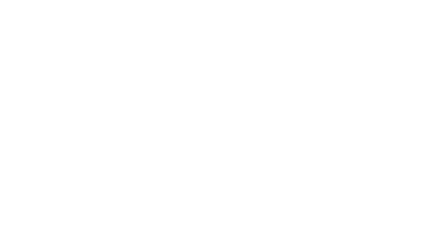 Dynamic Reinsurance