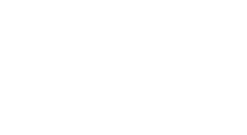Onitsuka Tiger